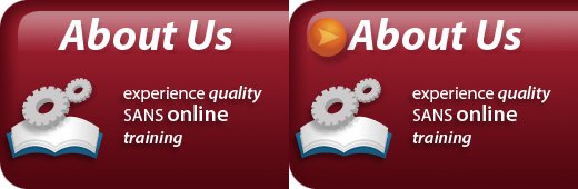 VLive Online Security Training